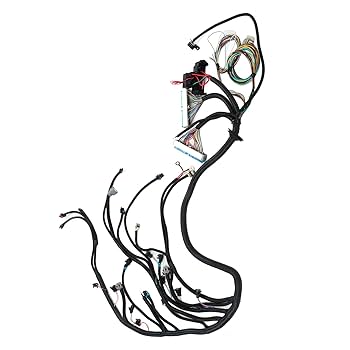 LiSALiVEisSmileAlways〜Eve&amp;Birth～パーカー フリルパーカー(UVカット）｜evelyn（エブリン）公式通販サイト