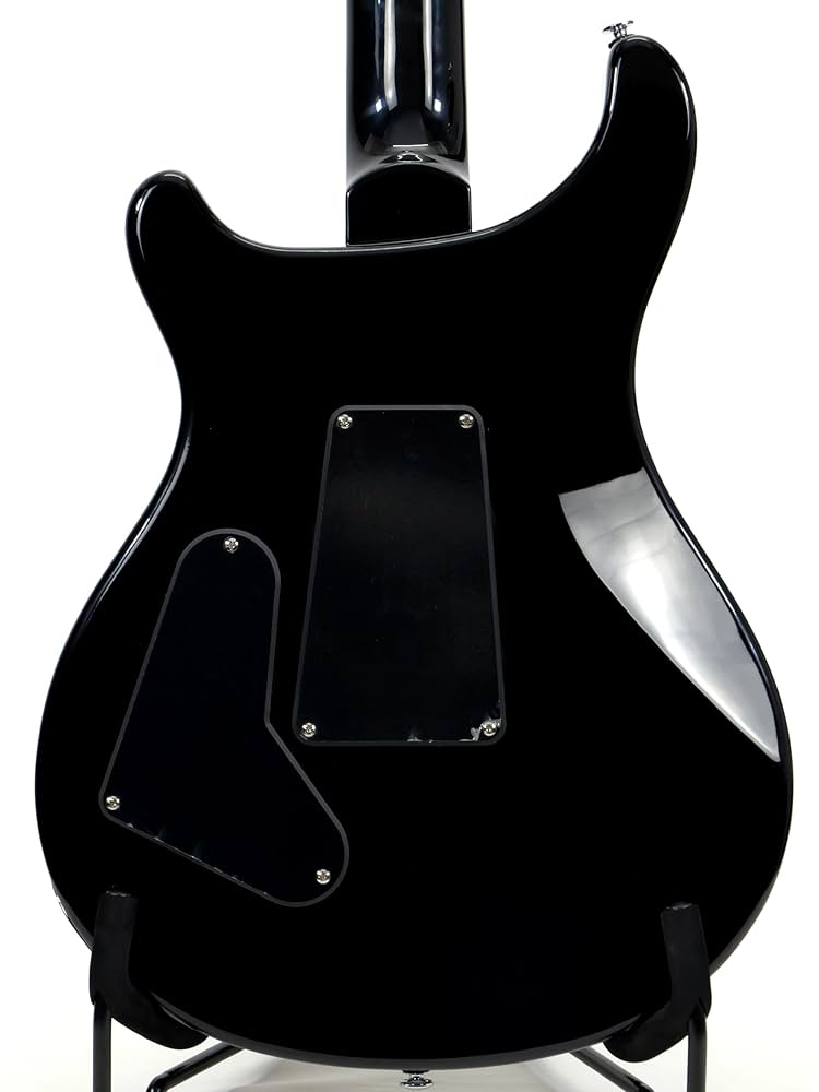 Paul Reed Smith SE Custom 24 美品だけど... PRS(Paul Reed Smith)(ポールリードスミス) / SE Custom 24 SE