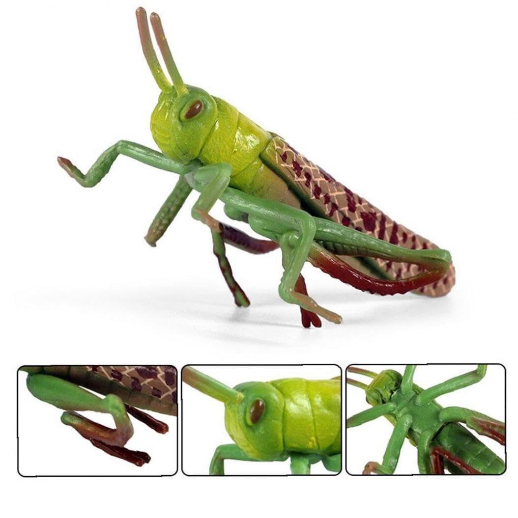 Amazon.co.jp: PiniceCoreシミュレーション昆虫フィギュア バッタ
