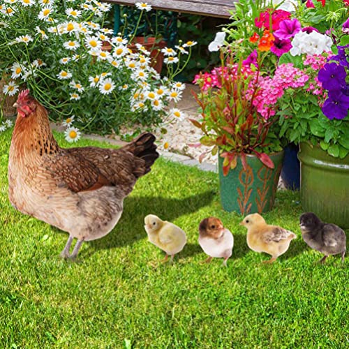 Yarnow 5Pcs Chicken Yard Art Decor Chicken Garden Stakes Easter Chick Yard Signs Acrylic Chicken Family Garden Silhouette For Garden Courtyard Decoration #TOP7