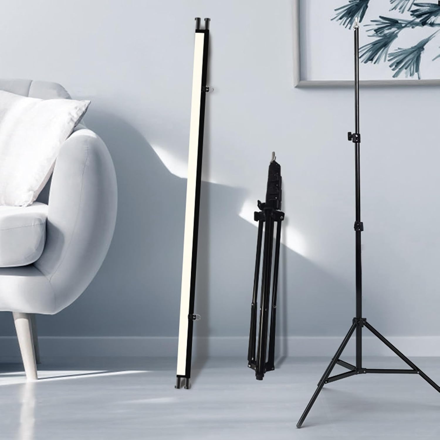 熊谷 守一、百日草Zinnias、希少限定版、額装用画集、新品額付 熊谷守