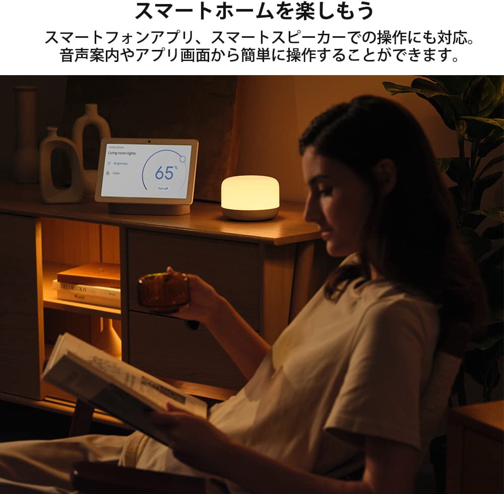 Yeelight x Razer LEDスマートランプD2 | 2個セット Amazon | 【Compatible with Alexa対応】 Yeelight LEDスマートランプ