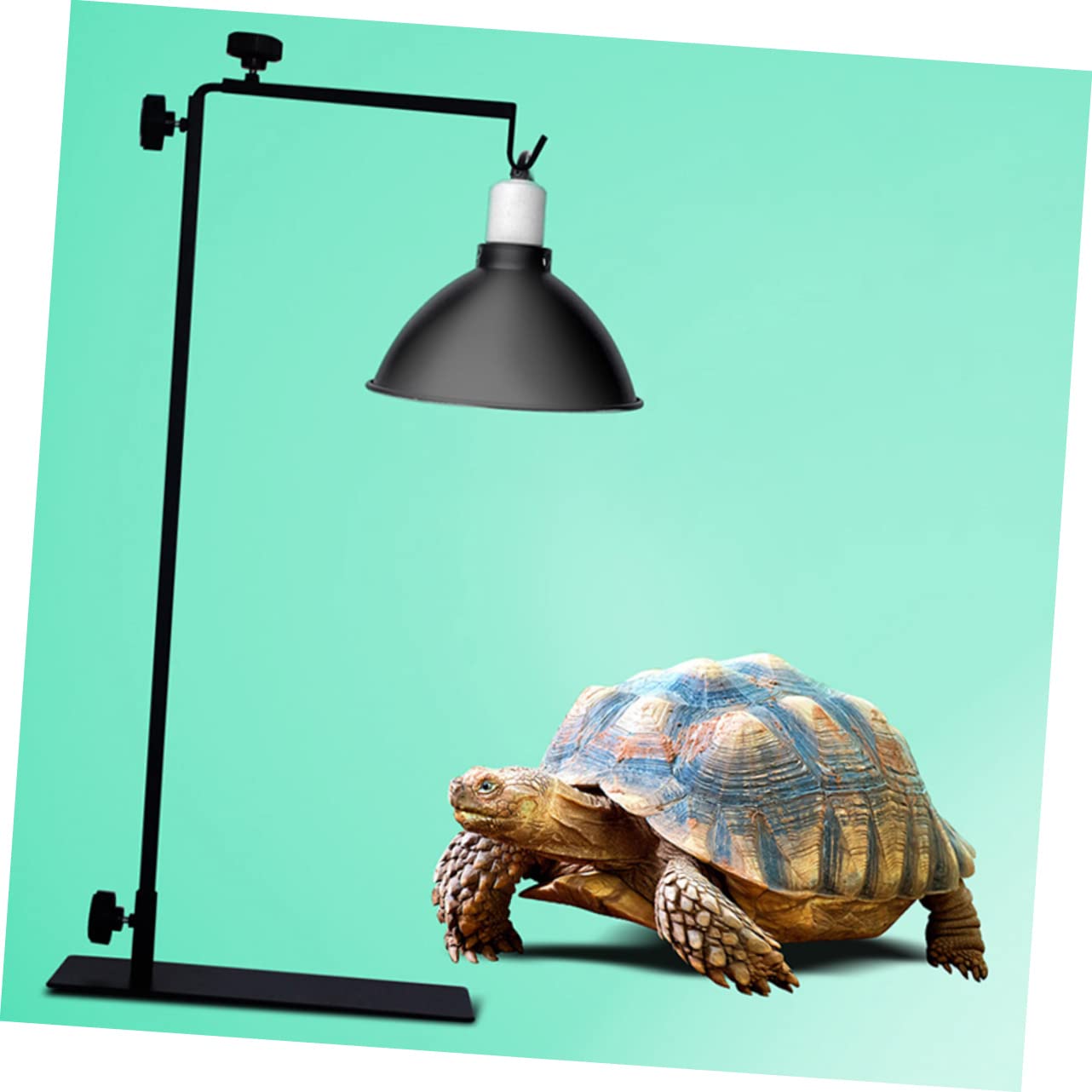 Toddmomy Supporto per Lampada Professionale Regolabile in Metallo per Terrari e Acquari, Base Compatta Resistente per Lampade Riscaldanti Rettili e Animali Domestici, Pratico per Uso Quotidiano