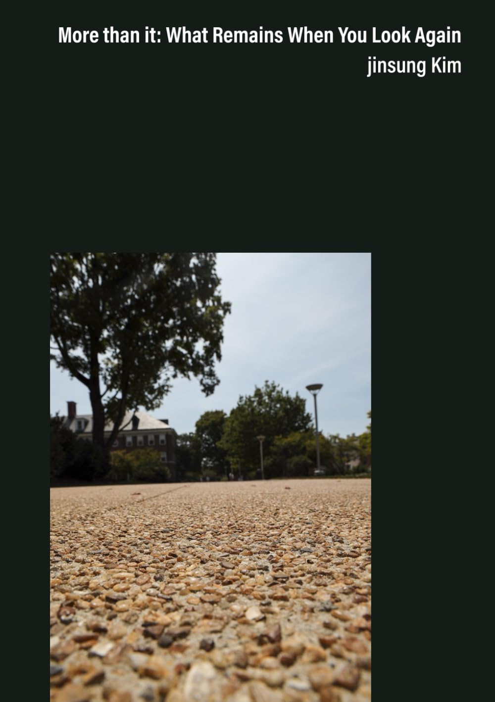 More than it: What Remains When You Look Again