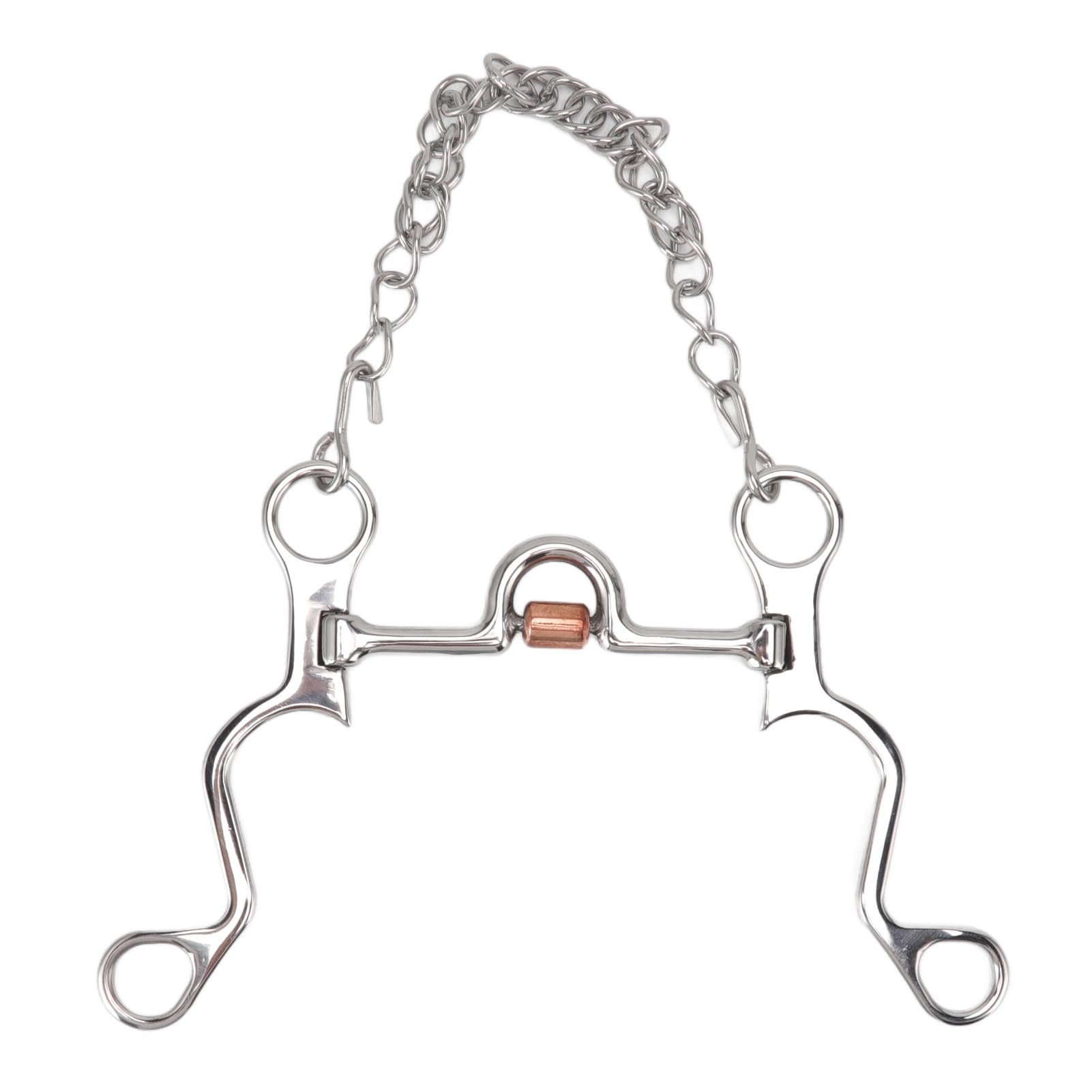 Filete de Boca de Caballo de 120 mm con Cadena, Broca de Caballo de Acero Inoxidable para Equipo de Entrenamiento Ecuestre
