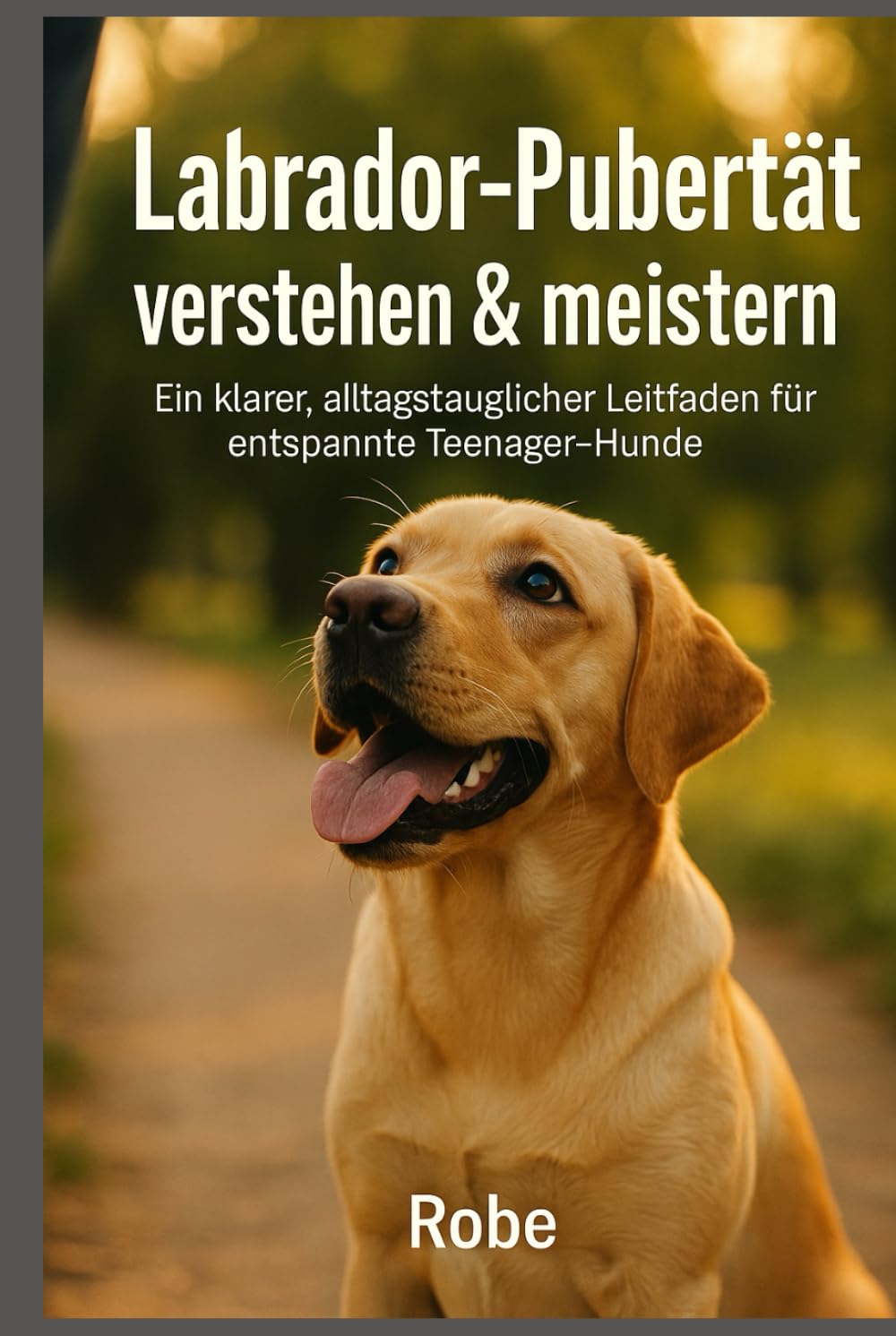 Labrador in der Pubertät sicher führen: Leinenziehen, Aufdrehen und Rückruf ruhig begleiten – mit klaren Schritten durch die schwierigste Junghundphase Autor: Robe