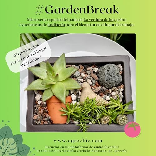 xGB3. Esta experiencia contribuir&aacute; a que tu equipo desarrolle nuevas perspectivas. Conoce aqu&iacute; detalles del proyecto birdview garden.