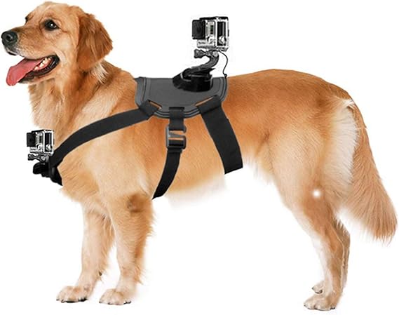 Amazon 犬ハーネスマウントチェストストラップマウントfor Gopro Hero 6 5 5 4 3 セッションdbpower Akaso Victsing Apeman Wimius Rollei Qumox Lightdow Campark Sonyスポーツdv And More ビデオカメラ用アクセサリ 通販