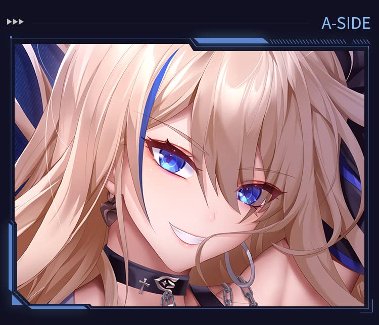 新品ケース付 精霊の守り人 シーズン1.2.3. 全12巻セット NMS77_1 崩壊3rd 無量塔 姫子 抱き枕カバー 崩壊 スターレイル