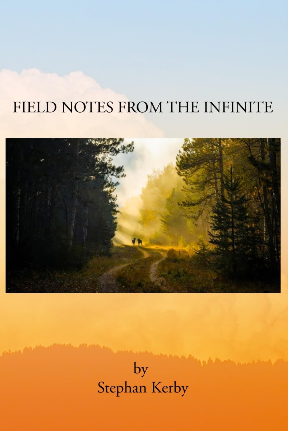 Field Notes from the Infinite