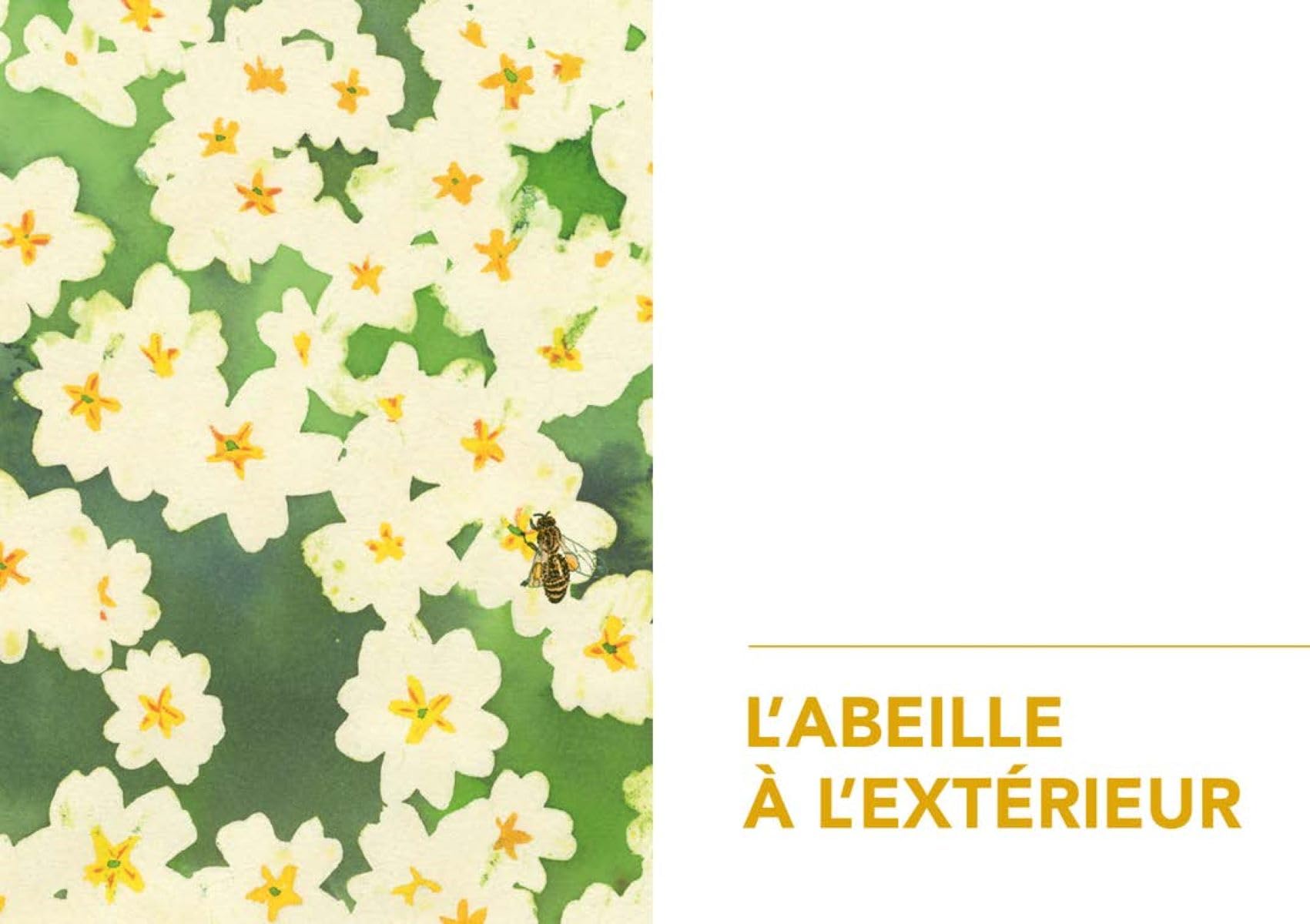 La Vie secrète des abeilles: L'esprit de la ruche