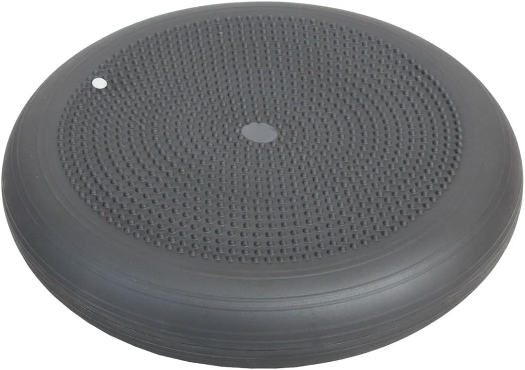 30-4210 Dynair Larger Cushions, XXL with Actisan - 20", 4" Height, 20" Width, 20" Length, Gray