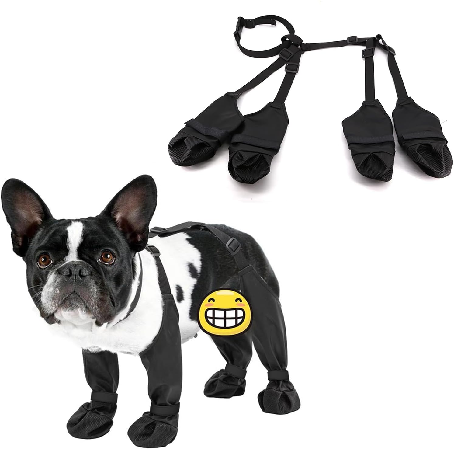 Bottes D'équitation Lexington TuffRider Taille 10 - Neuves Avec étiquettes - Imperméables