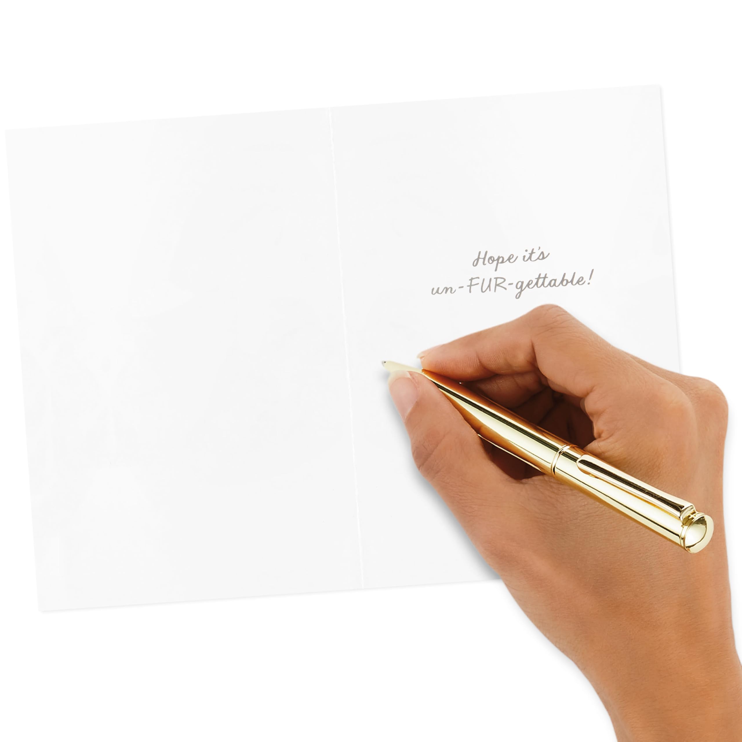 Hallmark Valentine's Day Cards Assortment, Gold Foil (36 Cards and Envelopes)