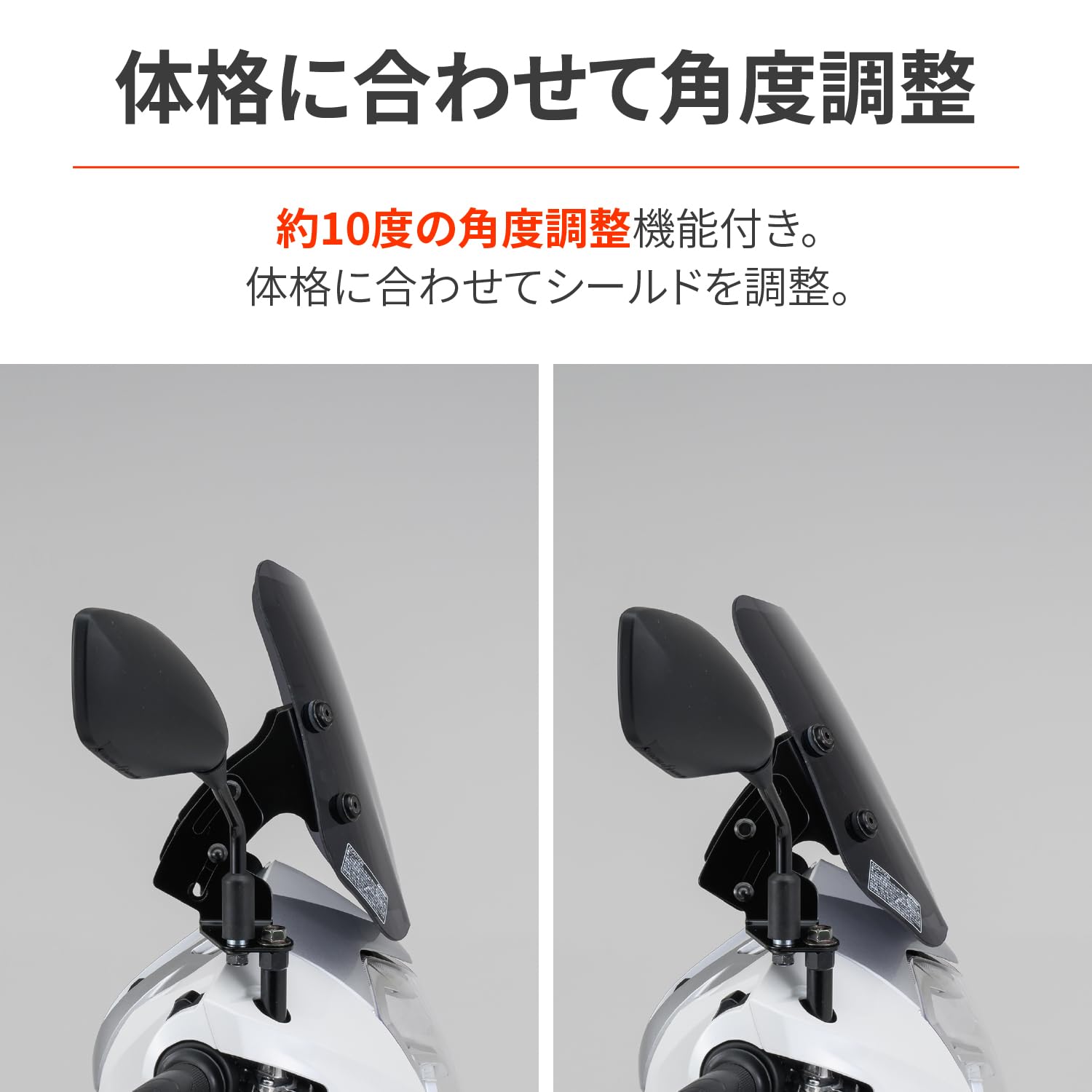 Amazon.co.jp: Daytona LEAD 125 (13-23) Exclusive Screen with Clamp