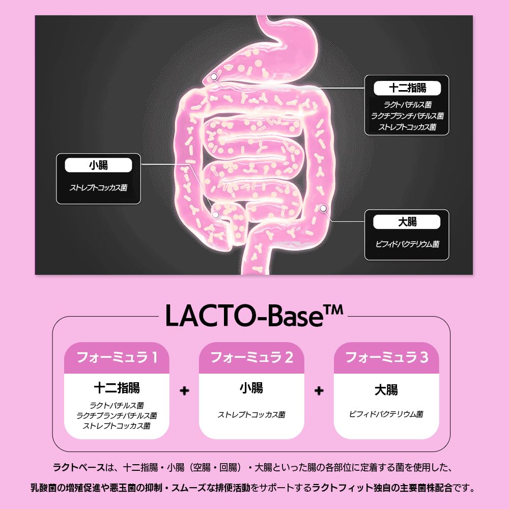 Amazon | 【LACTOFIT日本公式】ラクトフィット スリム(100包