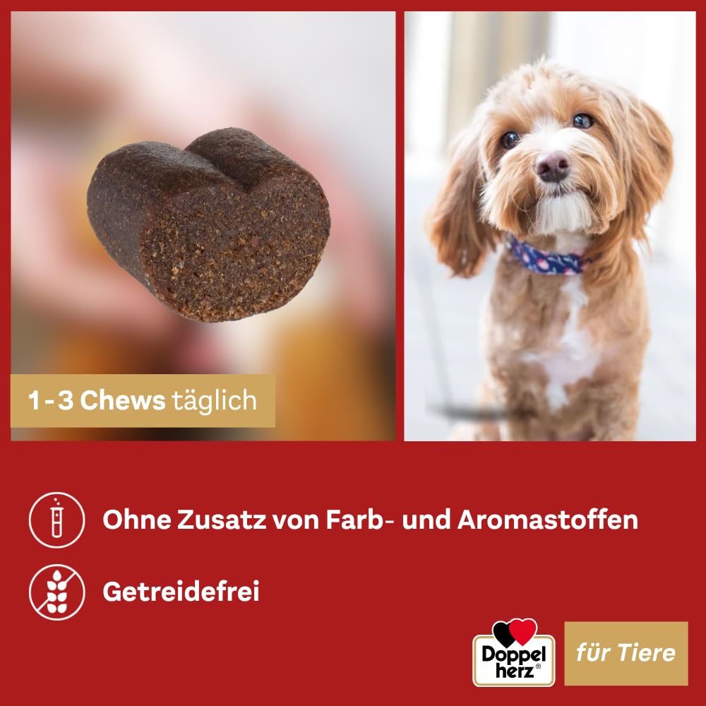 Doppelherz für Tiere Haut und Fell Complex für Hunde