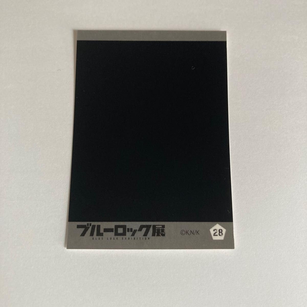 Amazon.co.jp: 展 ぱしゃこれ 黒名蘭世 : おもちゃ