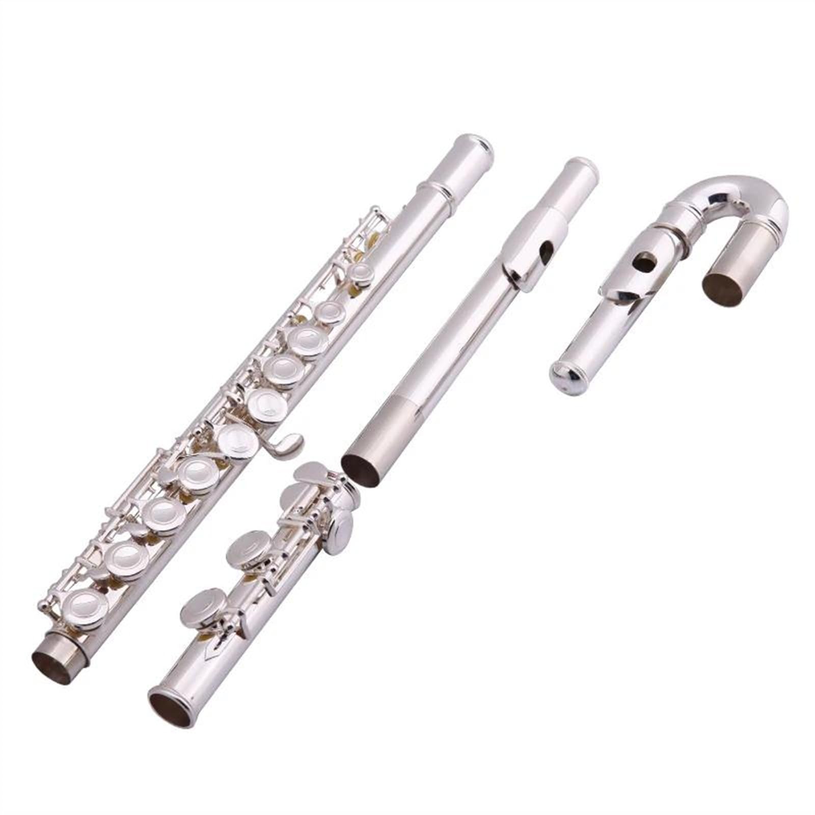 Professionale Flauto Traverso Giunti a testa curva Divisi 16 tasti Foro chiuso C TuneFlute Corpo in cupronichel Chiavi in ​​nichel argento Flauto con custodia