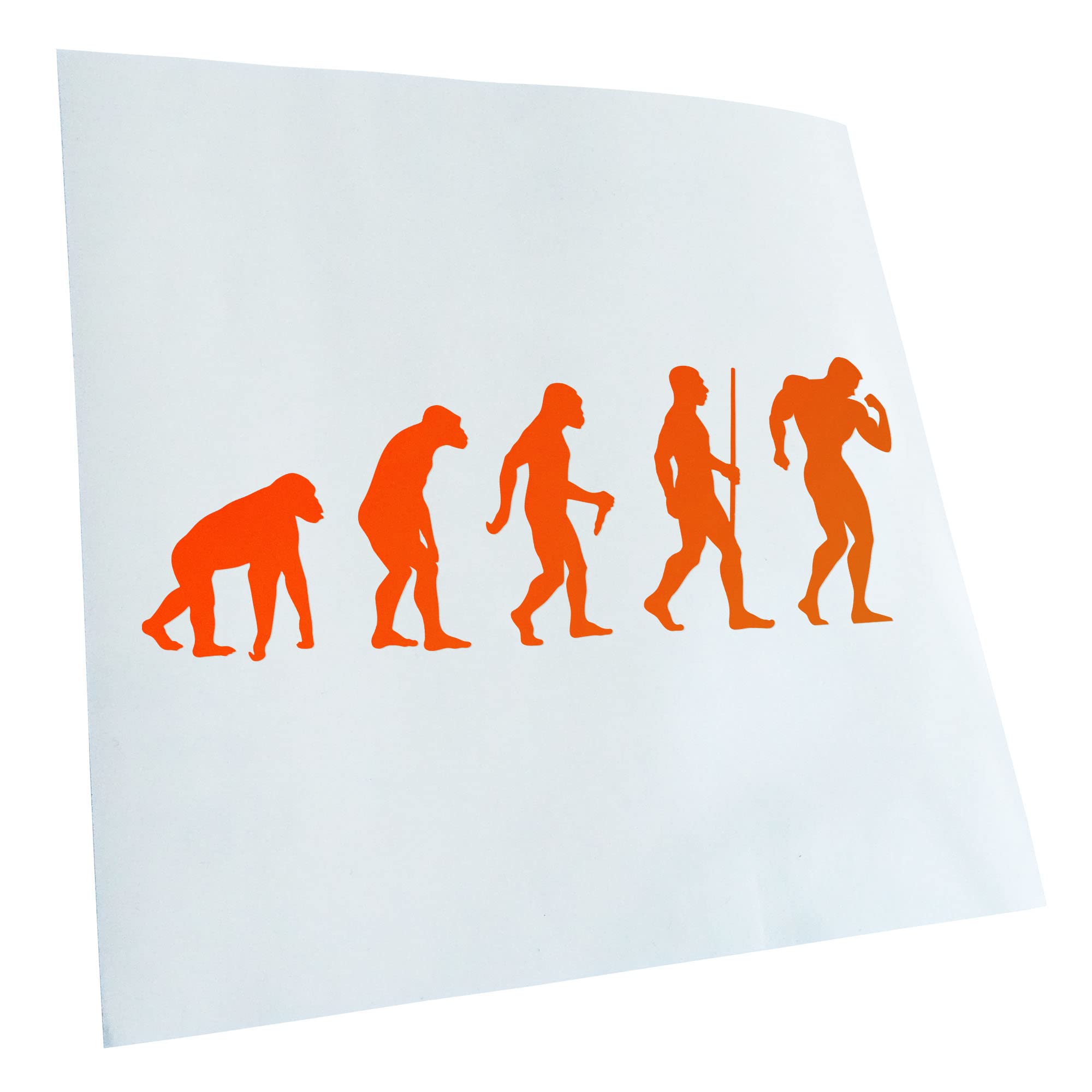 Kiwistar - Car Sticker - Bodybuilding Evolution - Neon Orange - 30 x 11 cm - Rear Window Car Sticker Weatherproof for Car Truck Moped Truck - Sticker Exterior Self-Adhesive Tuning Accessories for
