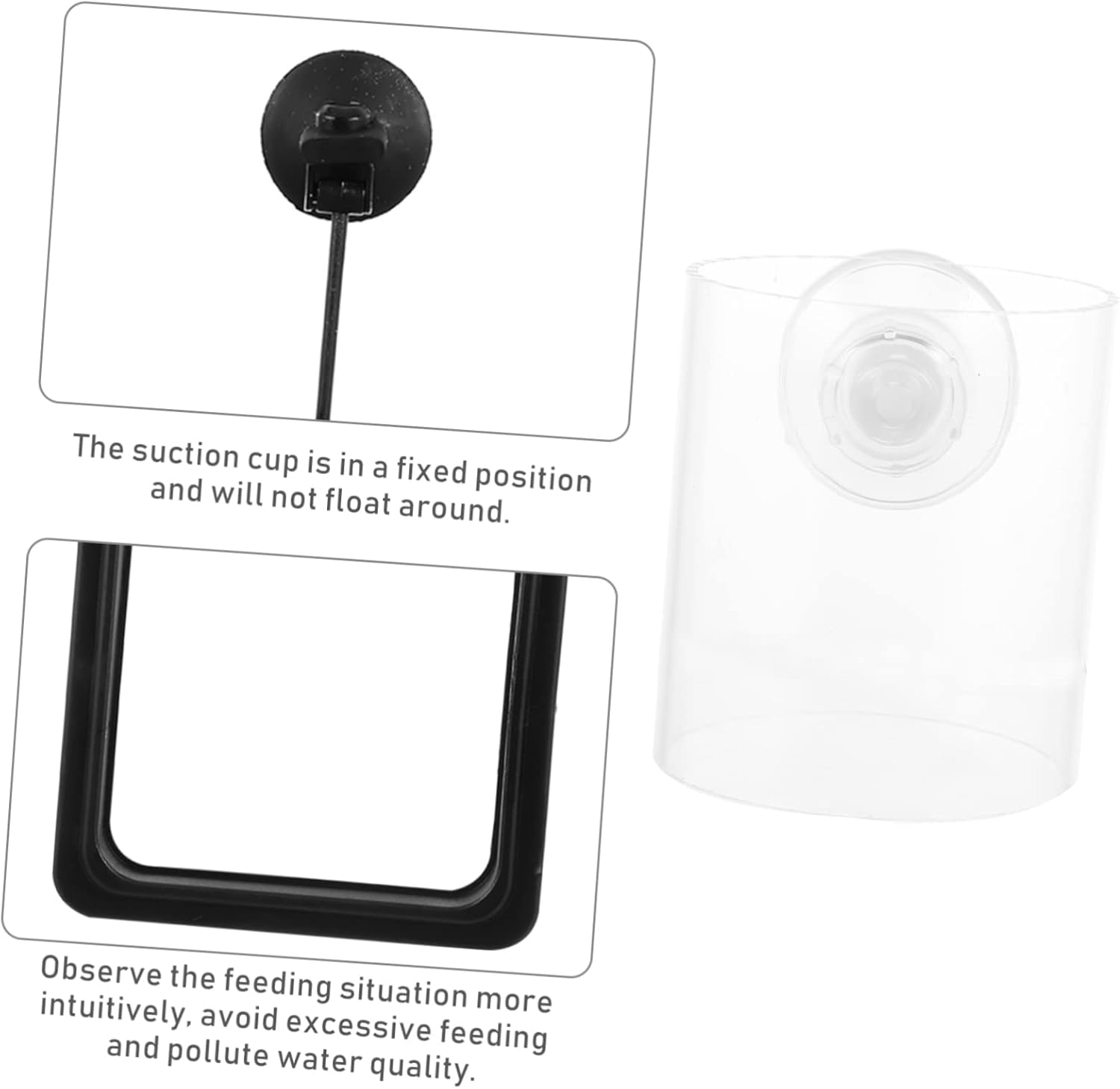 DOITOOL 6pcs Fish Feeding Circle for Aquariums Floating Fish Food Feeder Cups Prevents Water Waste Flakes