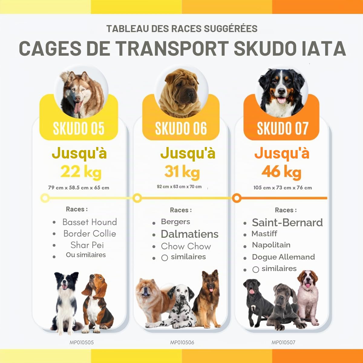 MPS Skudo 5 Iata+Porte Métal