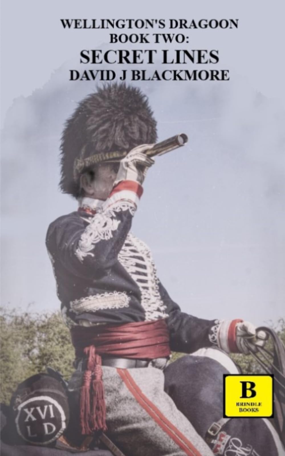 Secret Lines: 2 (Wellington's Dragoon) - Blackmore, David J