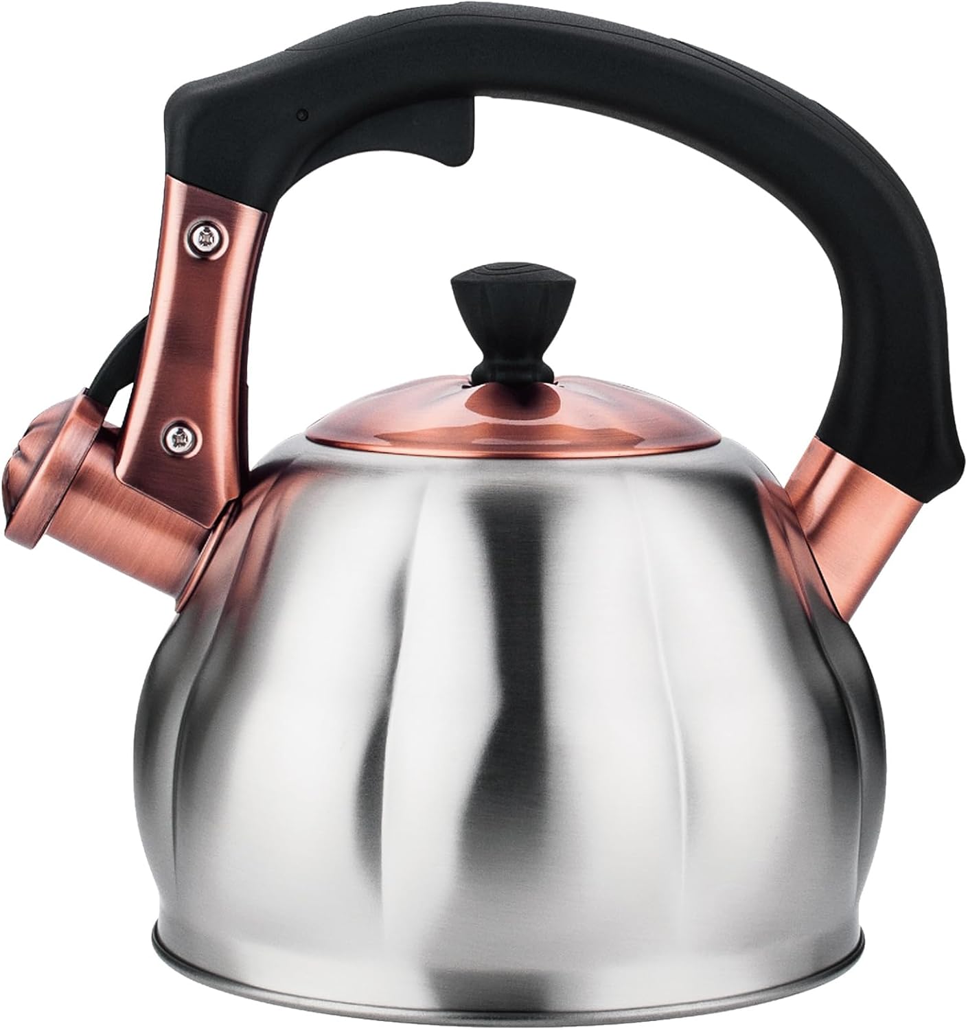 Tea Kettle Stainless Steel Teapot, Stainless Steel Teakettle for Stove Top with Heat Proof Ergonomic Handle 3.0 Quart