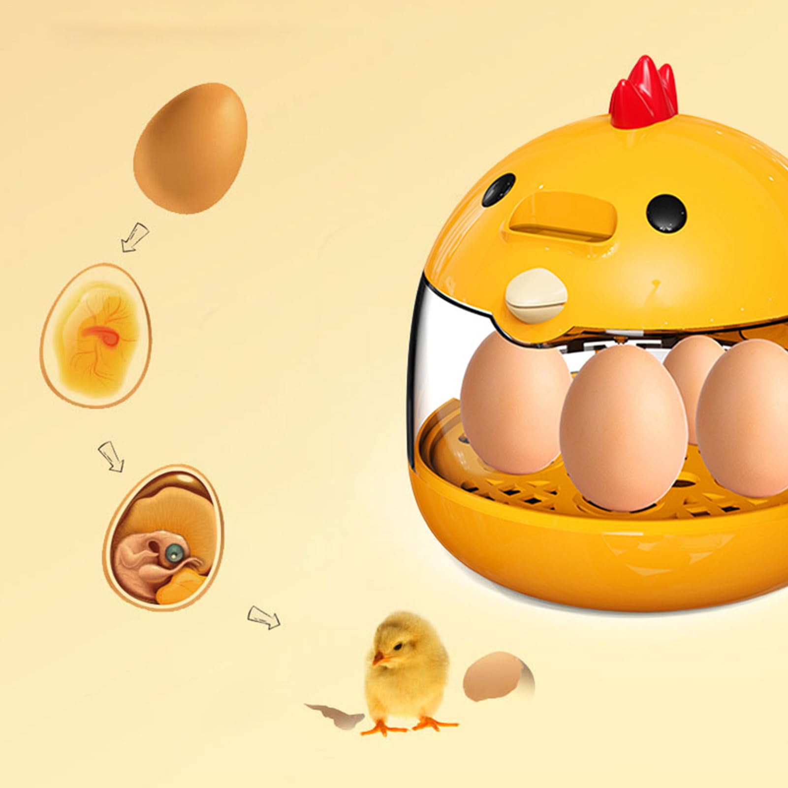 Incubadora Para Huevos De Gallina, Incubadora De Huevos, Termostato Inteligente Portátil, Nacedora Automática Con Candil, Para Gallina Patos Codornices Pavos Y Aves
