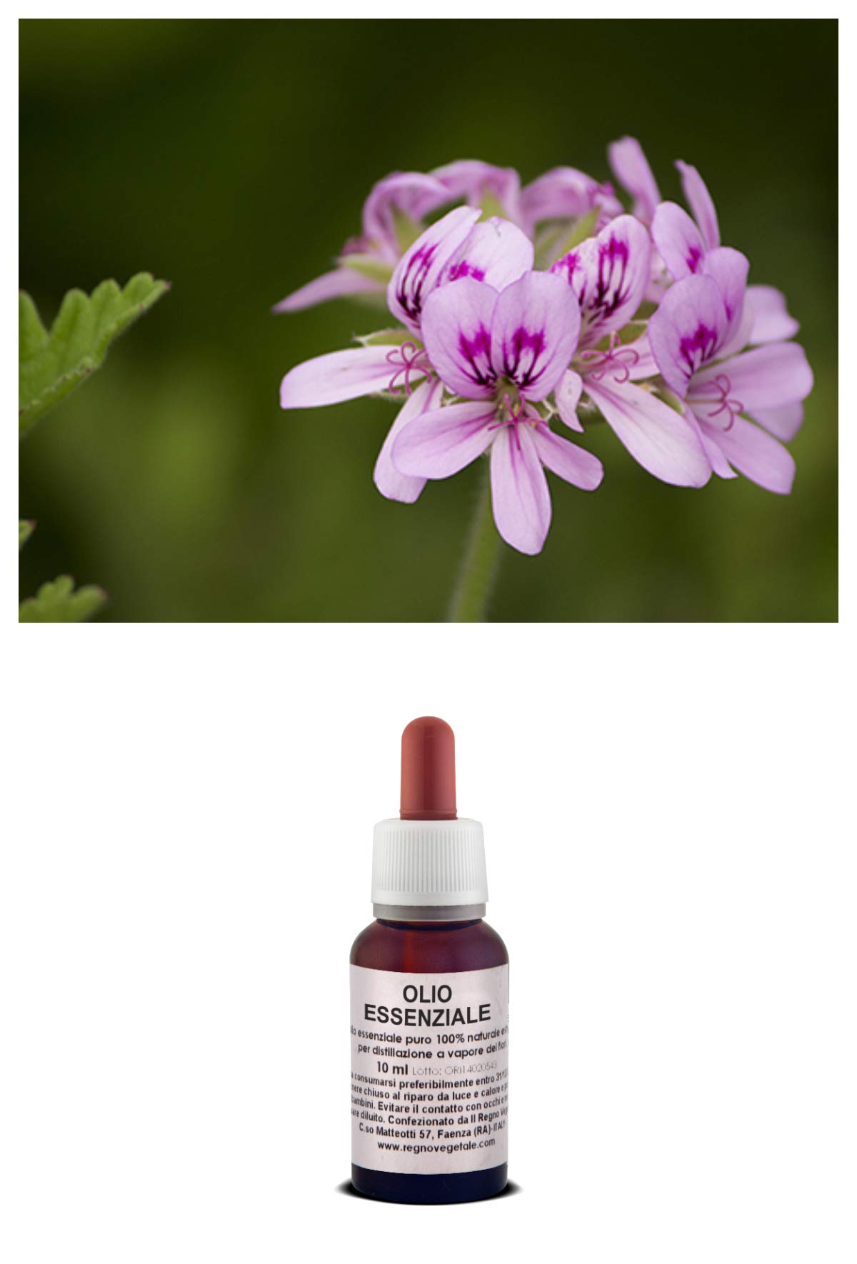 Olio essenziale 100% Puro GERANIO BOURBON Naturale Uso Interno/Esterno (50 ml)