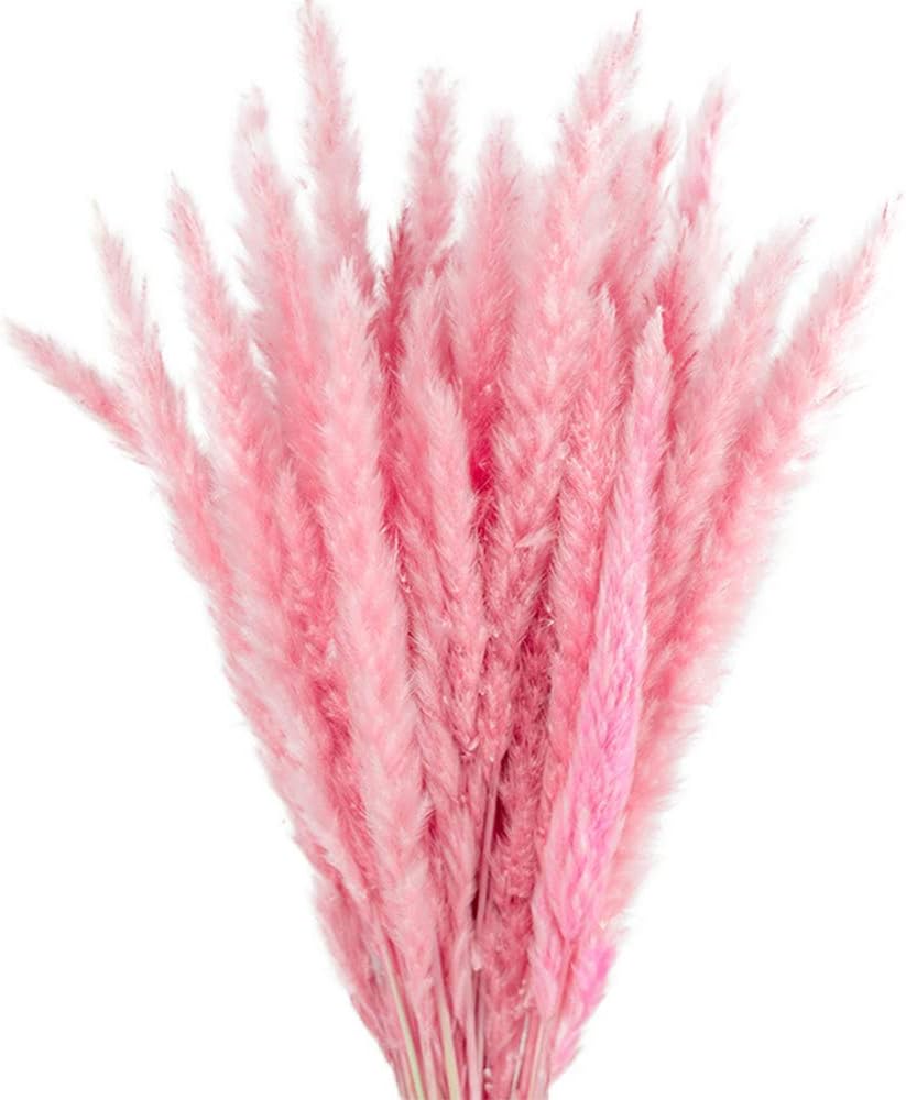 MLSG 60 Stems Natural Dry Flowers Small Pampas Grass, Phragmites Communis, Dried Flowers Bouquet for Wedding Floral Arrangements Home Decorations (Rose Red)