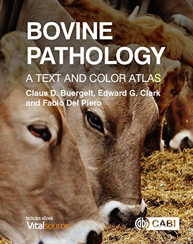 Bovine Pathology: A Text and Color Atlas