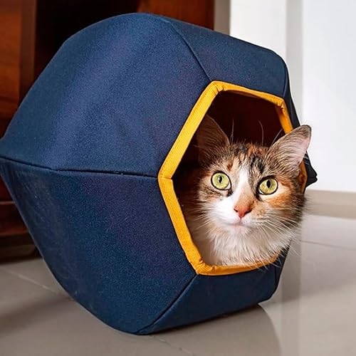 Gatton Toca Mundi Azul Toca Para Gatos