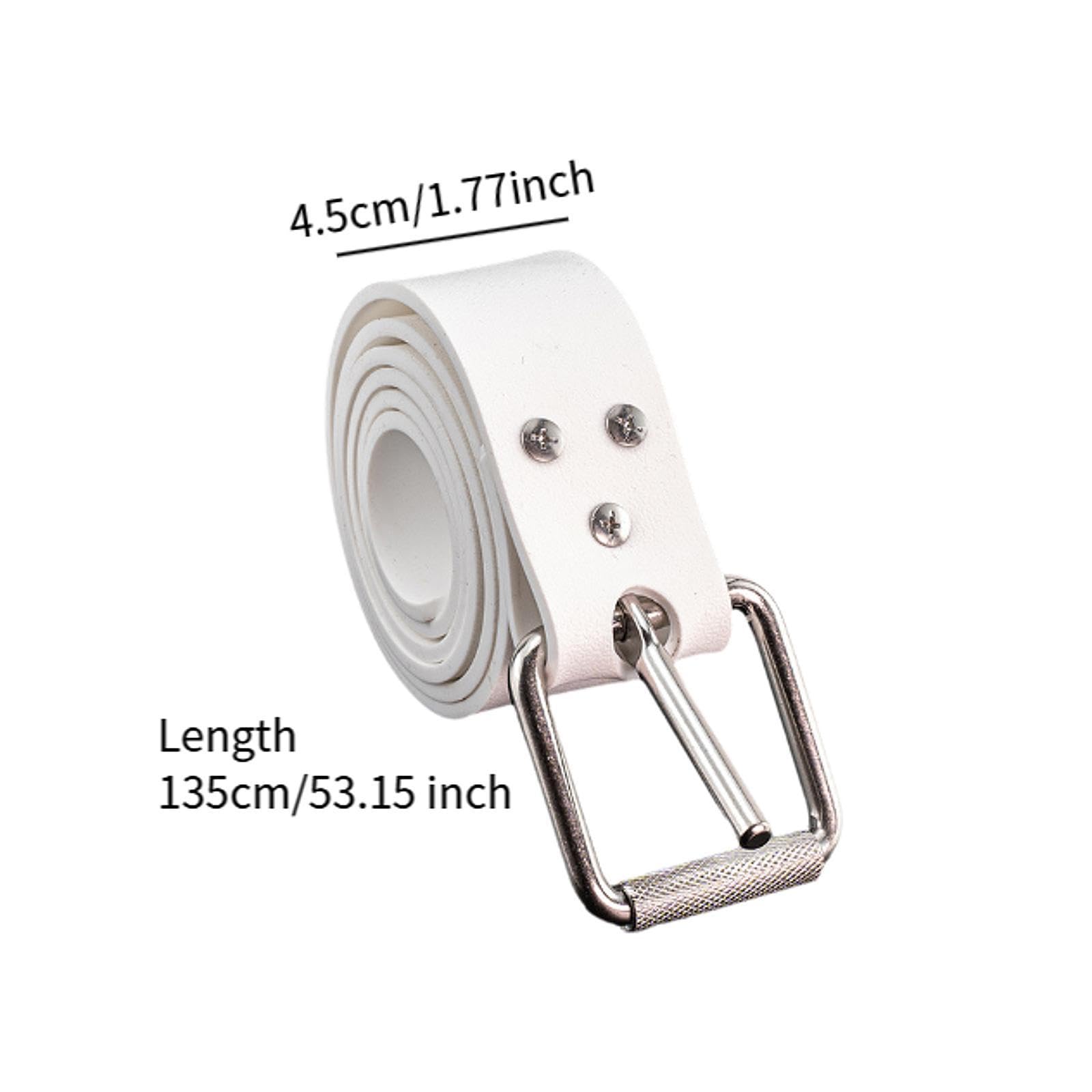 Ceinture de Poids de Plongée à Boucle en Acier Inoxydable, pour La Plongée en Apnée et L'équipement de Plongée Gratuit