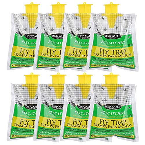 WOSNN - Atrapasue�os para moscas (lote de 8 unidades)