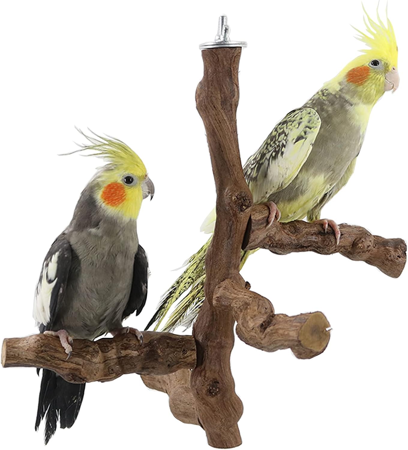 QBLEEV Bird Perch Natural Wood Stand for Cage, Parrot
