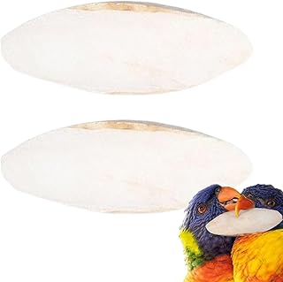 Sepiaschale | 2 Stück Vogelschnecke | Vogelschneide Stein Für Nymphensittiche Kanarienvögel Reptilien Unzertrennliche product image