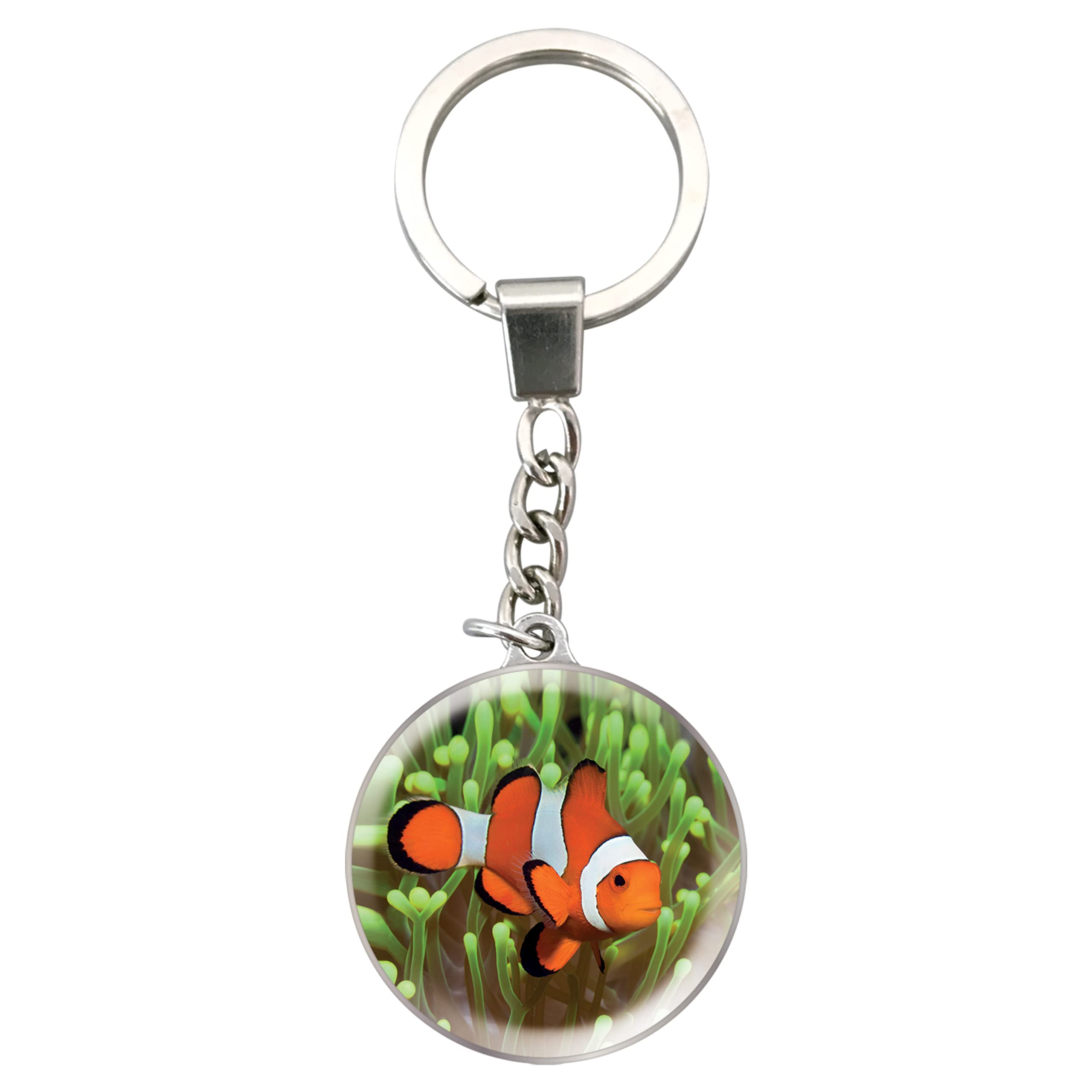 Deluxebase Magnidome Keychain from Dome Shaped Picture Key Ring with Stainless Steel Chain. Crystal Glass Dome Key Chain