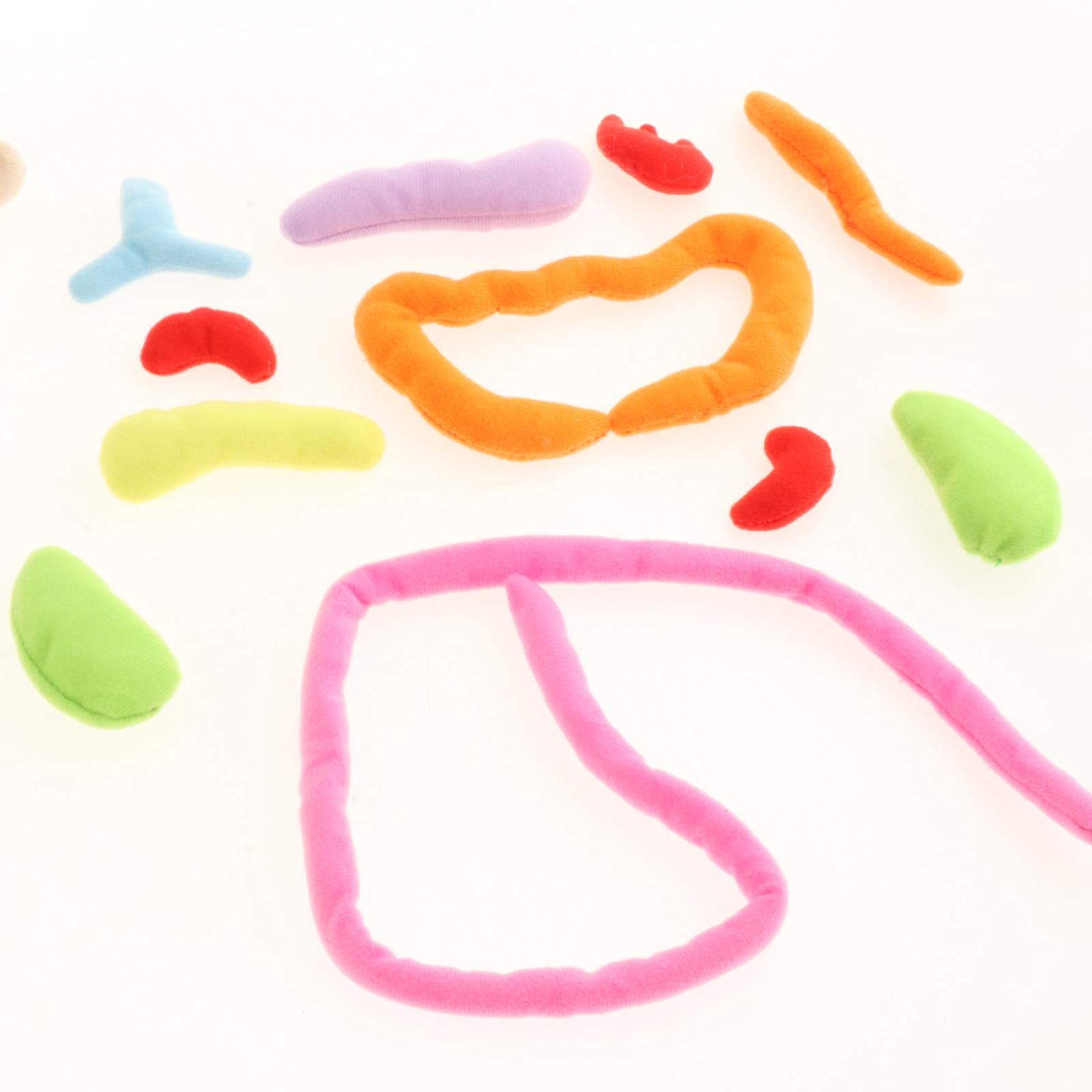 Modelo Interactivo de Anatomía Humana: Una Herramienta Educativa Fascinante para Niños, Multicolor2, 49x33x6cm
