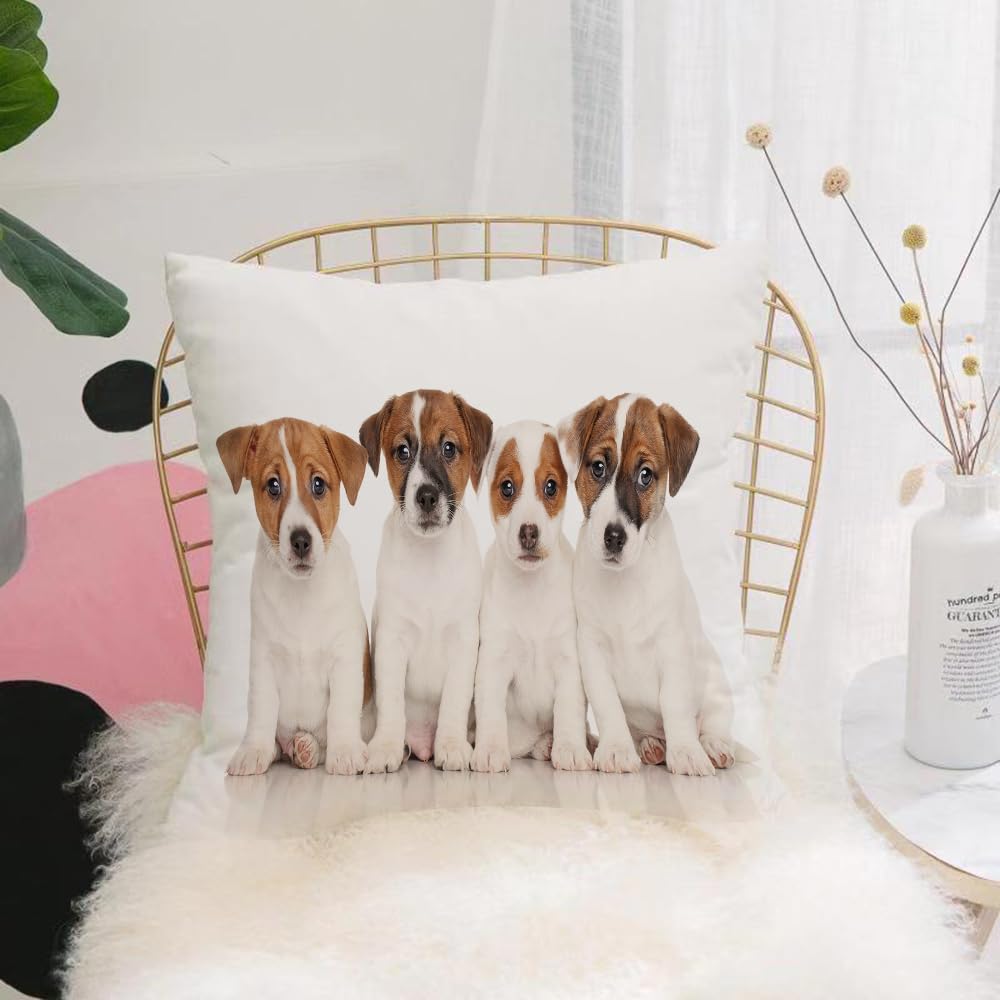 HYOSXW Cushion Cover,Throw Pillow Case Home Decorative for Living Room Bedroom Sofa Chair 16X16 Inch,Group of Jack Russell terrier puppies in front of white background,Pillowcase 40X40cm