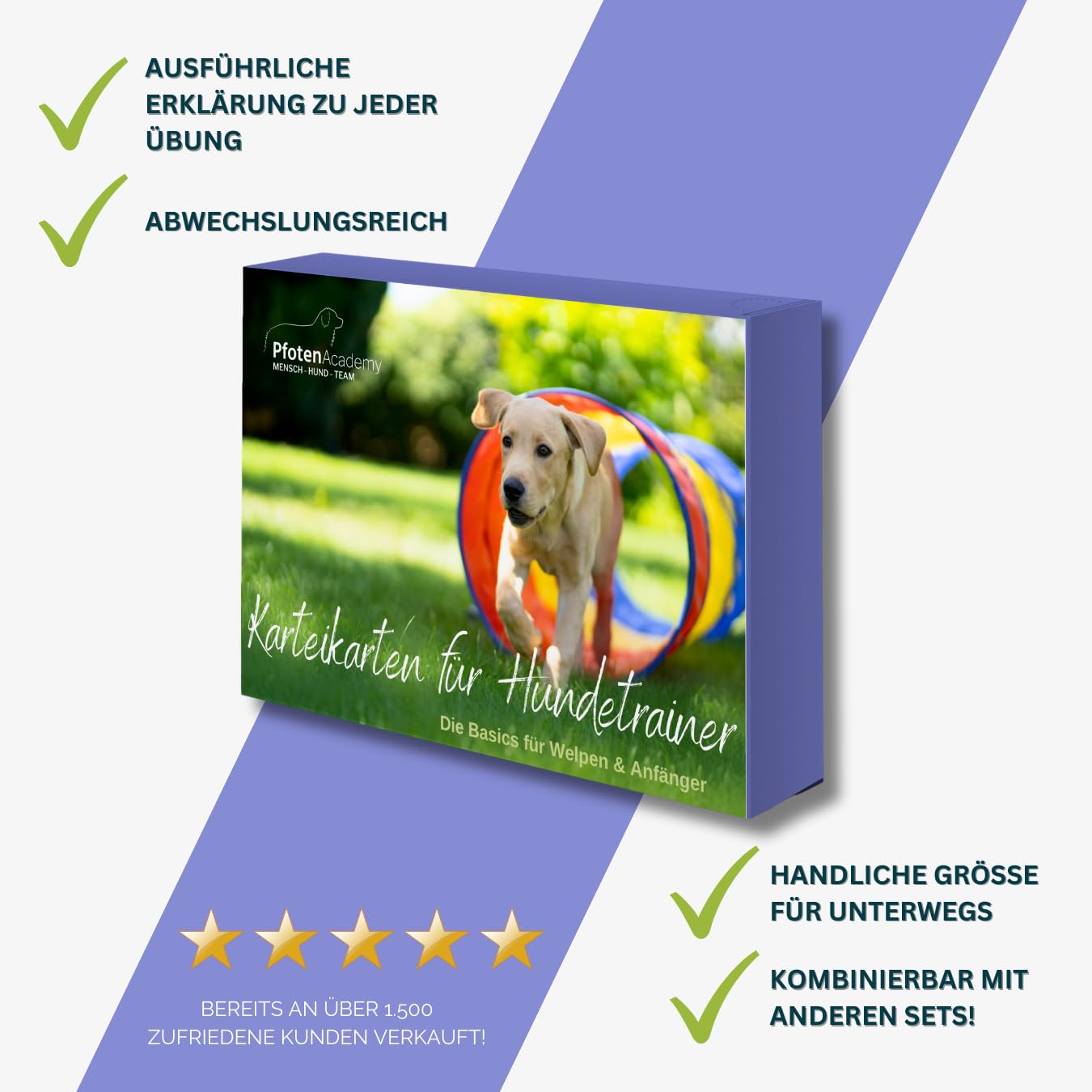Welpen & Anfänger Übungskarten für Hundetrainer | Unterrichtskonzept | Karteikartenset für die Gestaltung von Hundeschulen Gruppenstunden & Kurse