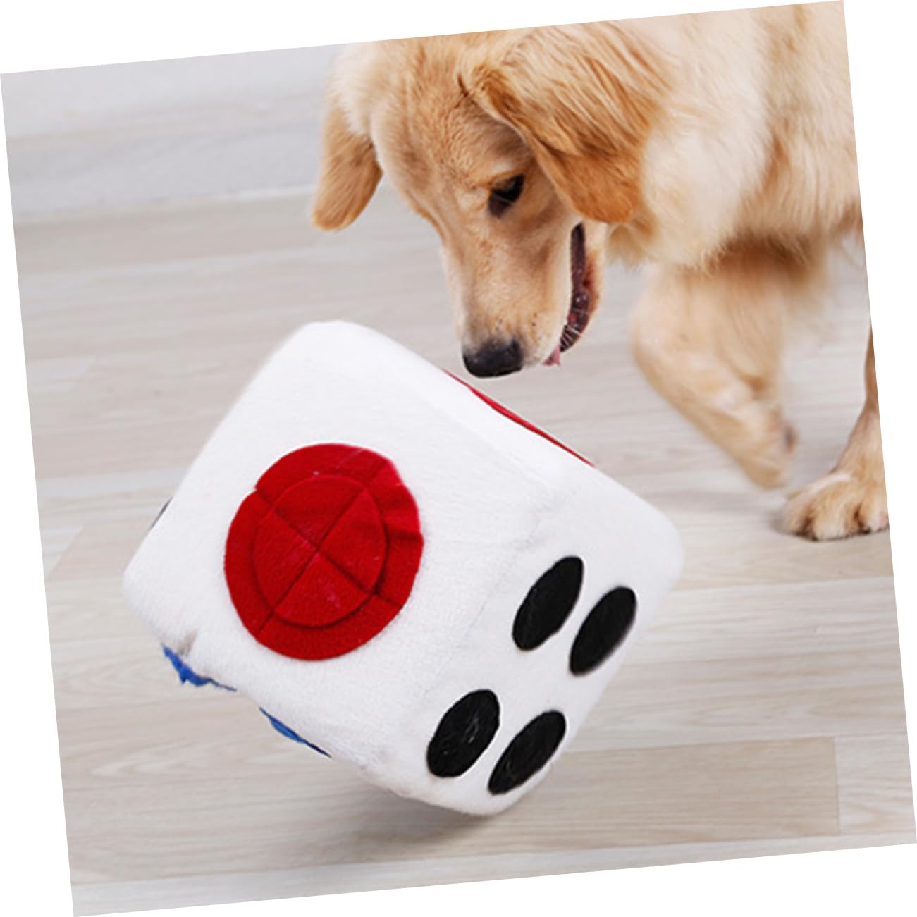 ibasenice Distributeur de Croquettes Forme de Dé Jouet Olfactif Anti-étranglement pour Animaux de Compagnie Distributeur Alimentation Lente