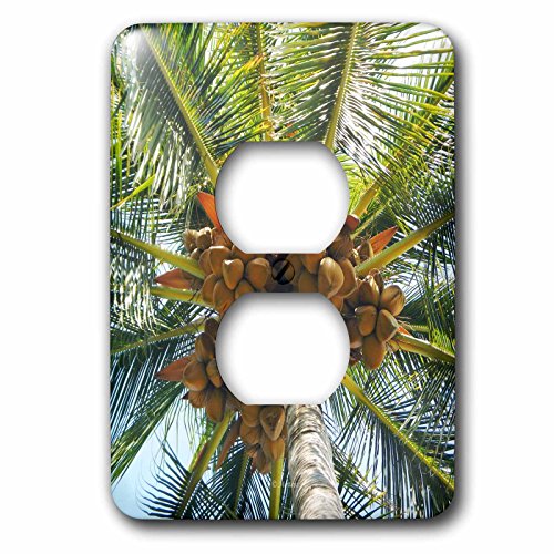 Cache 2 prises Cacao Tree Hawaii 3dRose plaque murale déco multicolore - 2