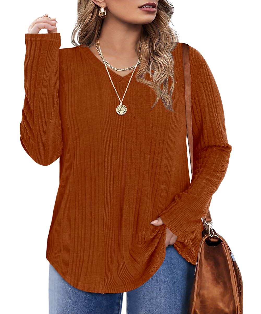 Rapbin Plus Size Tops for Women Long Sleeve Shirts V Neck Sweater Floral Blouses 2024 XL-5XL