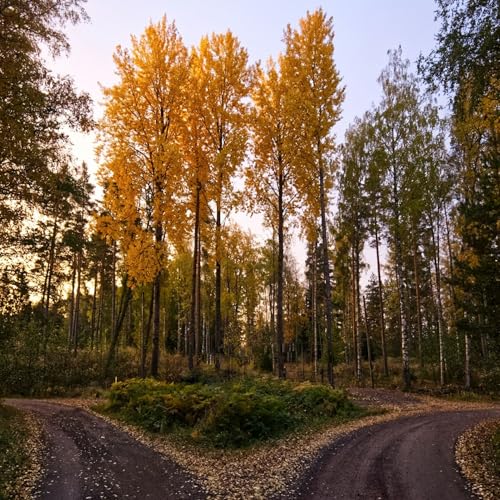 60 Seconds for Wednesdays on Whidbey: Is it Right or Is it Best? cover art