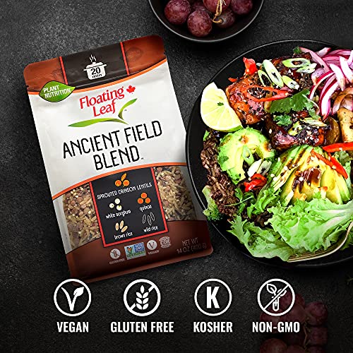 Floating Leaf – Ancient Field Blend, Wild Rice Blend With Sprouted Crimson Lentils, White Sorghum Grain, Quinoa And Brown Rice, Non Gluten, Non-Gmo, Kosher And Vegan, 14 Ounces #TOP7