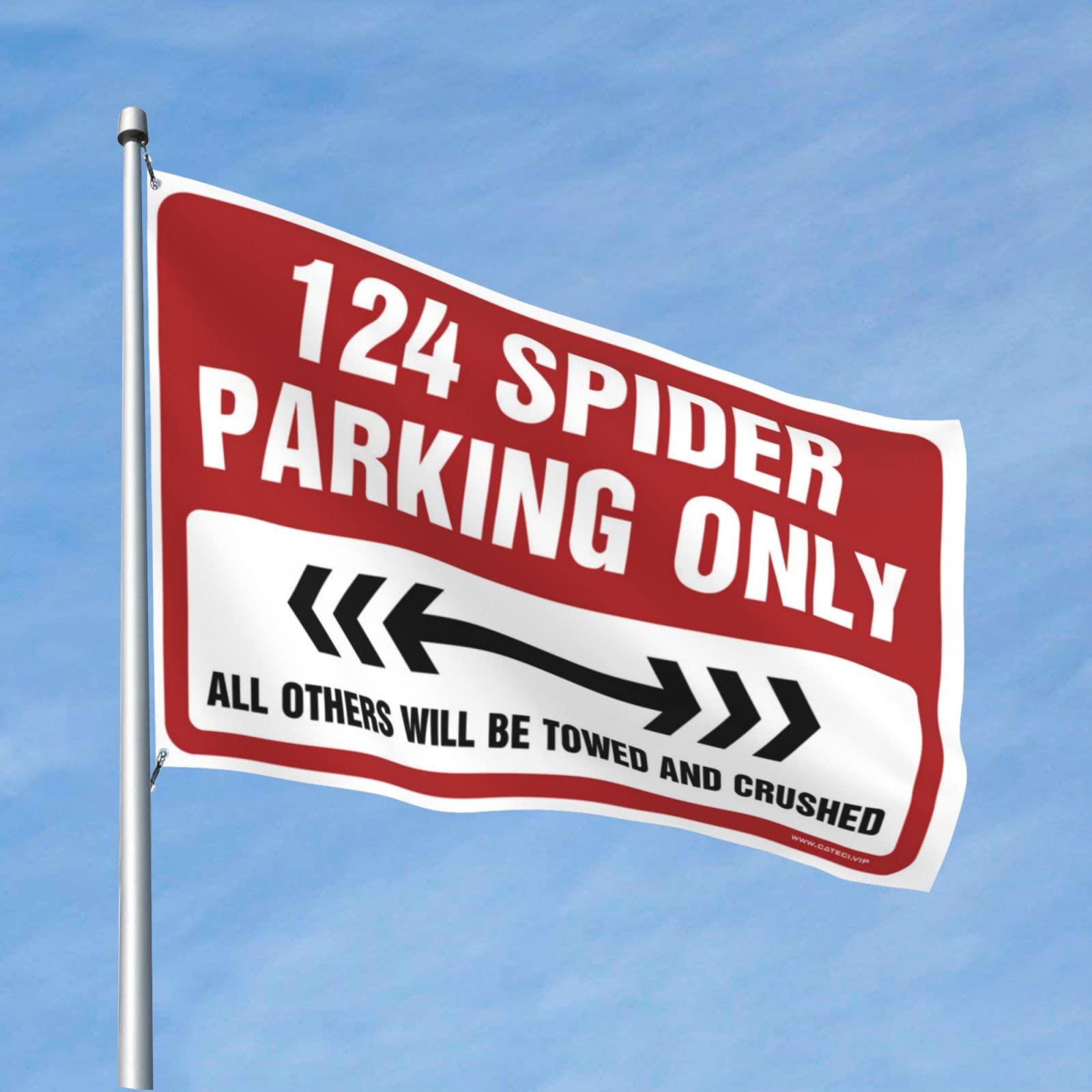 Drapeau 124 Spider idée cadeau déco pour chambre ado et extérieur - 6