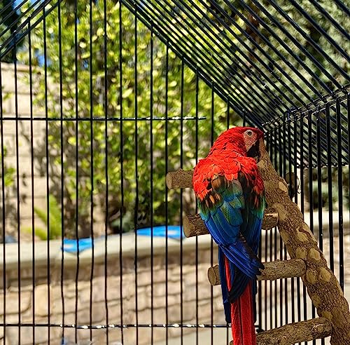 Image of SIMENA Bird Ladder Perch, Natural Wood Parrot Stand, Hamster Climbing Toy, Bird Cage Ladder for Small and Medium Birds, Parakeet, Cockatiel, Conures, Lovebirds, Budgie