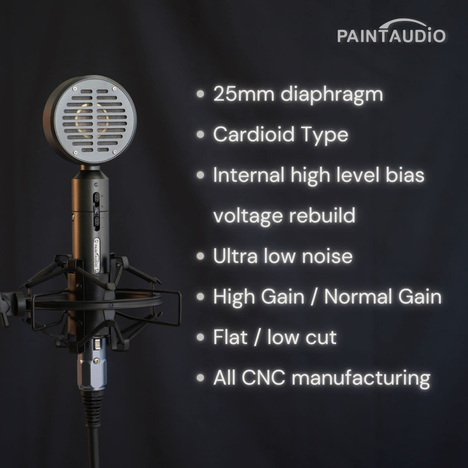 Amazon.co.jp: PAINTAUDIO 大型ダイアフラムコンデンサーマイク PM88