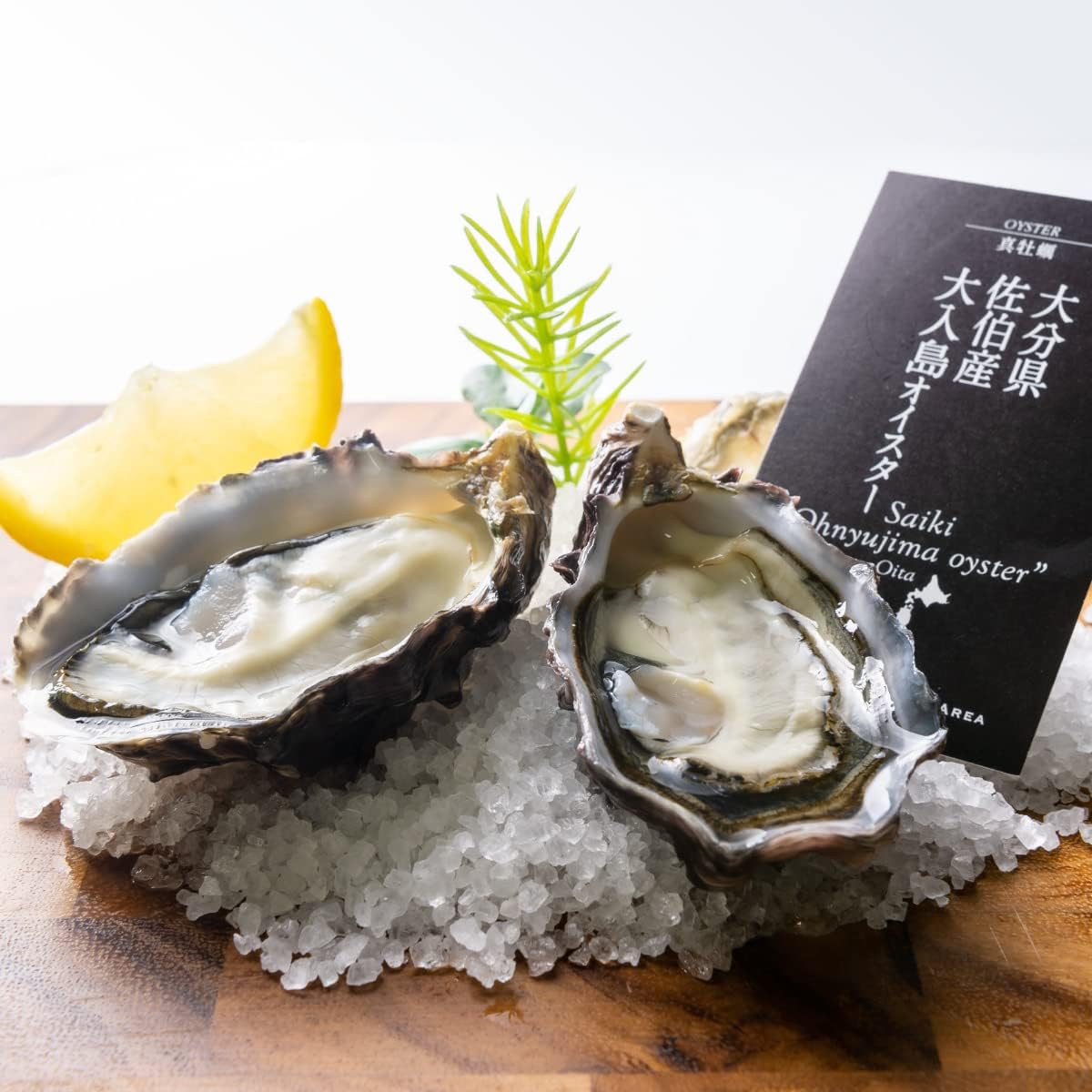 51 Off 生食用 真牡蠣 大分県 佐伯産 大入島オイスター 12個